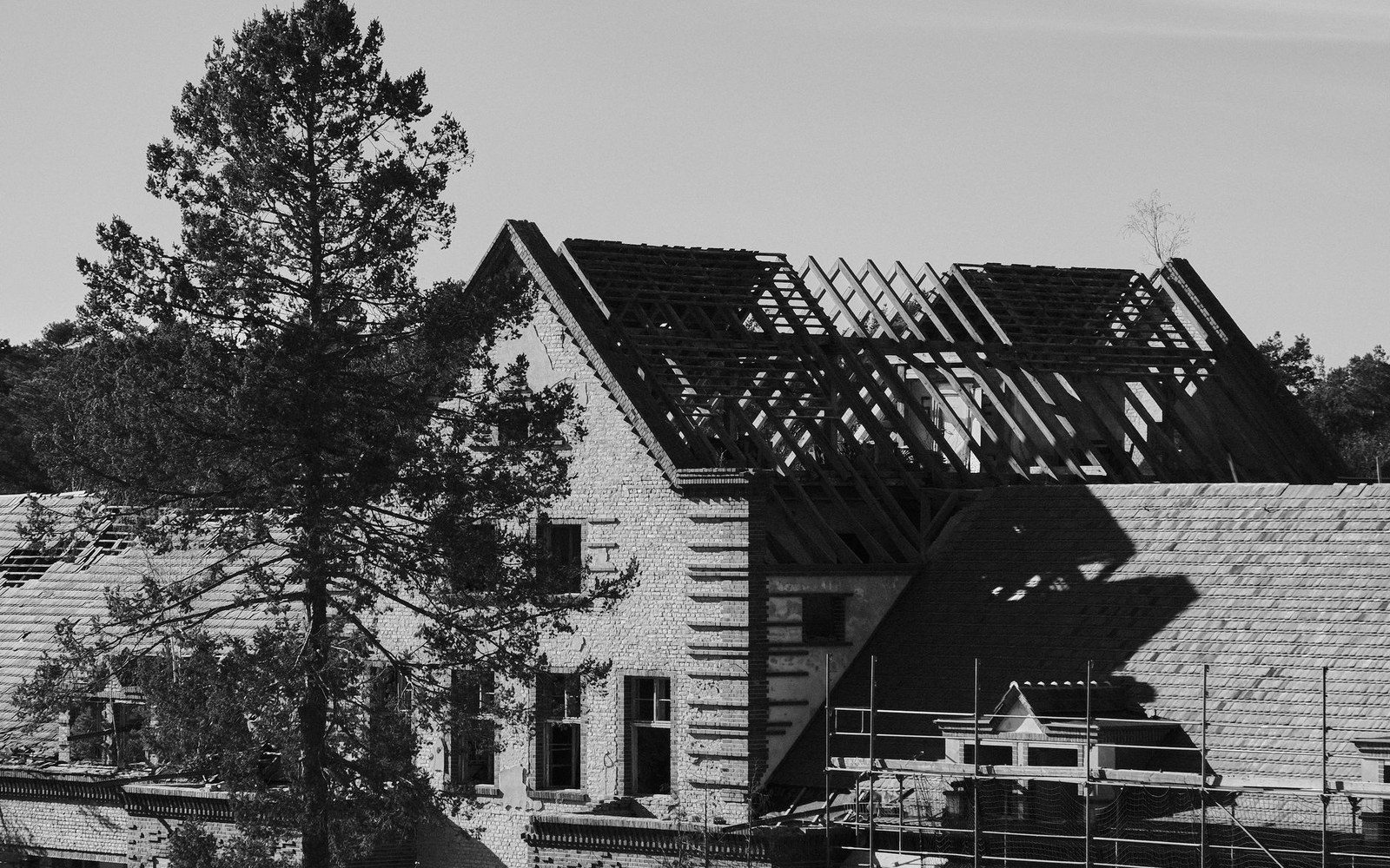 Exposed roof trusses on a stone building under renovation beside a tall pine tree