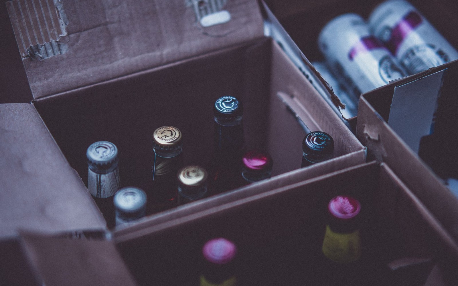 Open cardboard boxes packed with capped beer bottles and cans